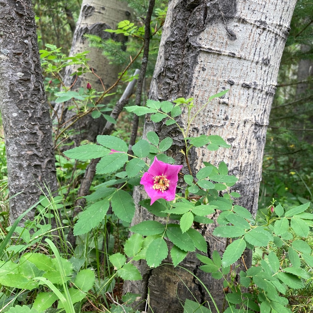 Meet your Posher, Reilly